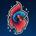 精灵斗艳Betta