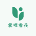 雾哩看花