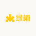 金色绿植工坊