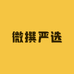 微撰严选