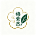 梅紫然草本食养