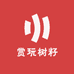 赏玩树籽