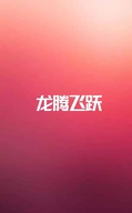 龙腾飞跃企业店