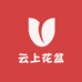 云上花盆