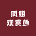 凤姐观赏鱼