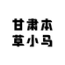 甘肃本草小马