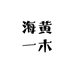 海黄一木