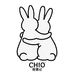 CHIO宠偶记