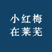 小红梅在莱芜