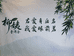 柳姨普洱茶