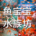 鱼宝宝水族坊