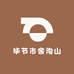 毕节市舍沟山货店