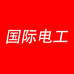 国际电工稚五金专卖店