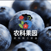 农科果园研究室