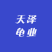 天泽龟业