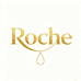 洛希Roche
