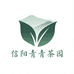 信阳青青茶园