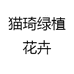 猫琦绿植花卉