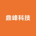 鼎峰科技解码器