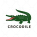 CROCODILE鳄鱼1号