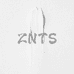 静静ZNTS养生馆
