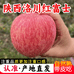 果语生洛川苹果