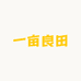 创富蔬菜种苗