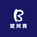 斌风青