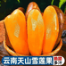 蒙自俊驰商贸有限公司