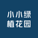 小小绿植花园