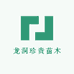 龙洞珍贵苗木场