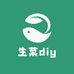 生菜diy手作