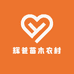 辉爸苗木农村