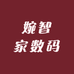 婉智家数码