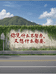 与江同行