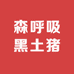 英山森呼吸黑土猪