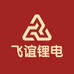 飞谊锂电