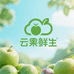 云南哈维思综合优品小铺