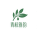 青枝雅韵园艺绿植