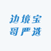 边境宝哥严选