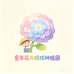 童年花卉种植园