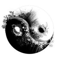酷动户外体育