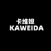 KAWEIDA数码配件旗舰店