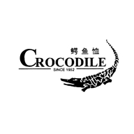 鳄鱼恤顾德女鞋专卖店