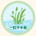 一粒子水草批发