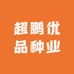 超鹏优品种业