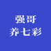 强哥养七彩