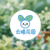 云曦的花园云南尤加利果基地