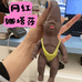 童趣乐园玩具铺
