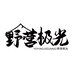 野营极光电器旗舰店